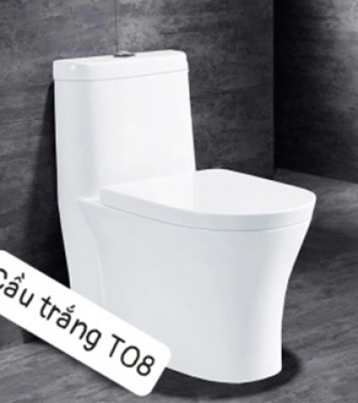 Cầu trắng T08